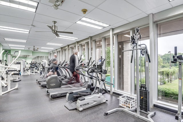 workout area with a drop ceiling, ceiling fan, and plenty of natural light