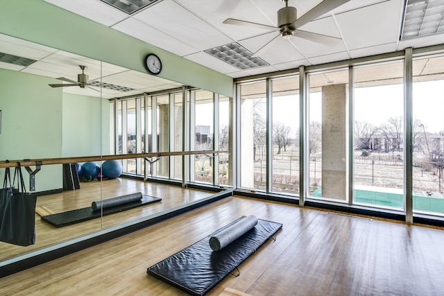 workout room featuring a wall of windows and a wealth of natural light