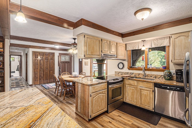 kitchen featuring kitchen peninsula, appliances with stainless steel finishes, light hardwood / wood-style floors, and sink