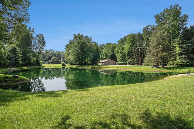 10133 W Allen Rd, Fowlerville, MI 48836 - water view featuring a forest