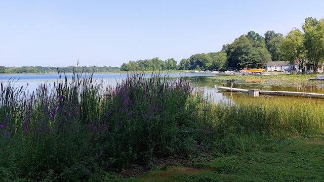 view of water feature featuring a boat dock