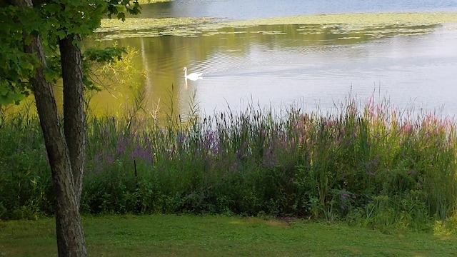 property view of water