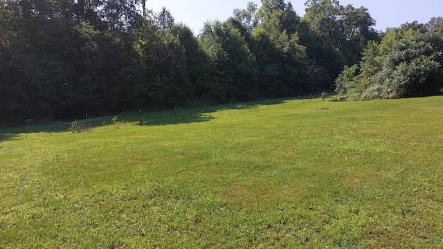 view of yard with a rural view