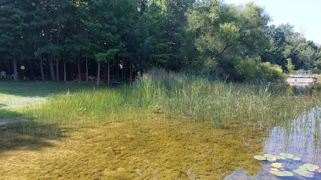 view of landscape with a water view