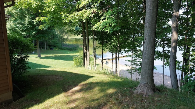 view of yard with a water view