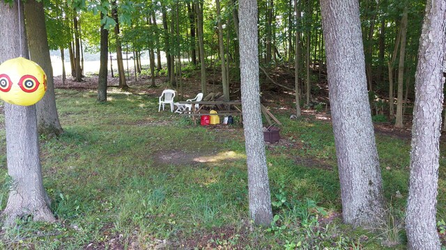 58560 Indian Lake Rd, Dowagiac, MI 49047 - photo 113