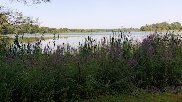 view of water feature