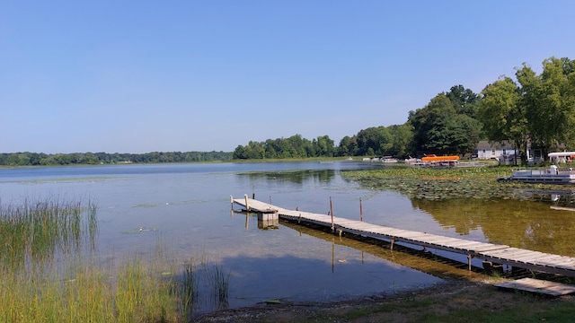 dock area with a water view