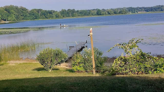 view of water feature with a dock