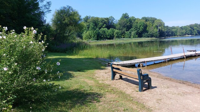 58560 Indian Lake Rd, Dowagiac, MI 49047 - photo 12
