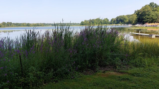 58560 Indian Lake Rd, Dowagiac, MI 49047 - photo 114