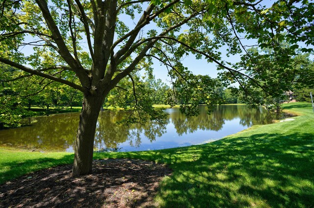6263 Canter Creek Trl, Grand Blanc, MI 48439 - photo 9
