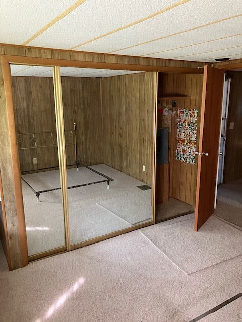 7377 Birch Dr, Port Hope, MI 48468 - miscellaneous room with wooden walls and carpet floors
