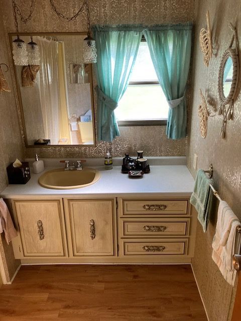 7377 Birch Dr, Port Hope, MI 48468 - bathroom featuring vanity and wood finished floors