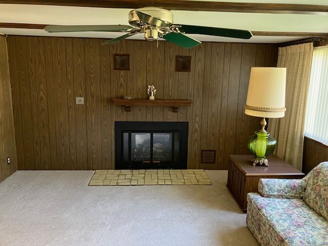 7377 Birch Dr, Port Hope, MI 48468 - living area with carpet flooring, wood walls, ceiling fan, and a fireplace with flush hearth