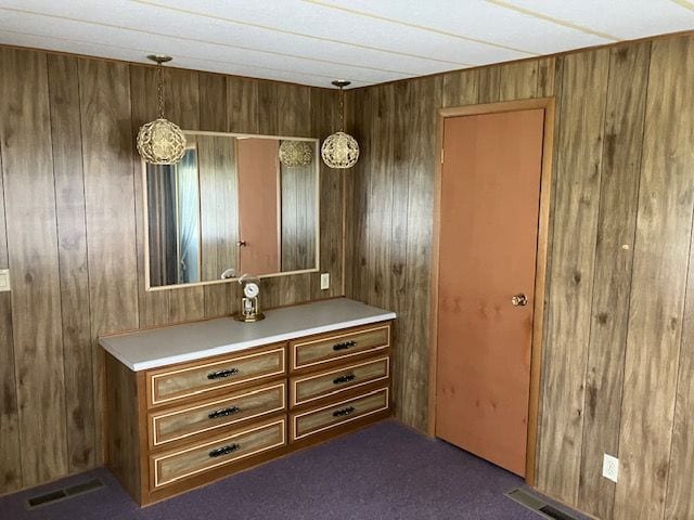 7377 Birch Dr, Port Hope, MI 48468 - bathroom with wood walls and vanity
