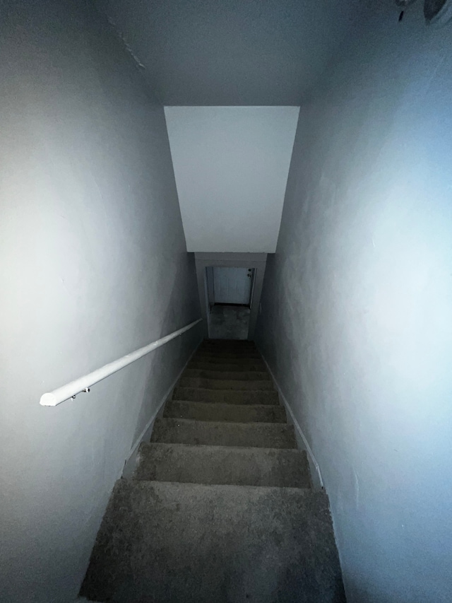 stairway featuring carpet flooring