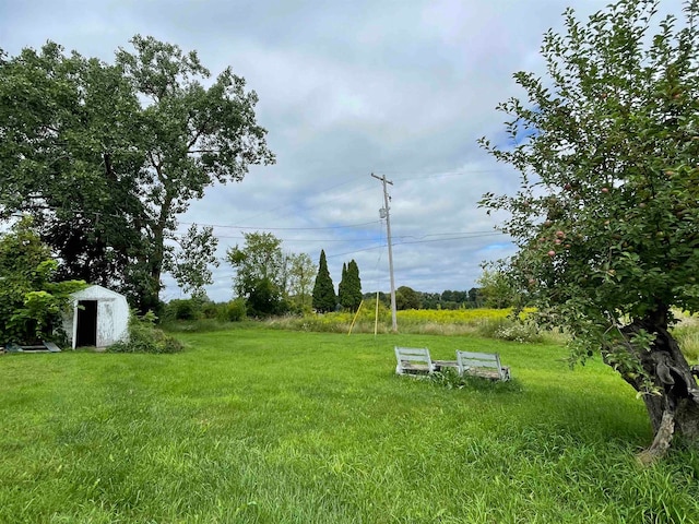 view of yard with a shed