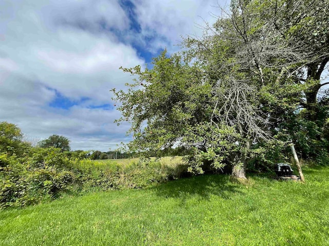 view of local wilderness