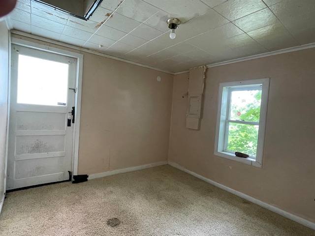 carpeted empty room featuring crown molding