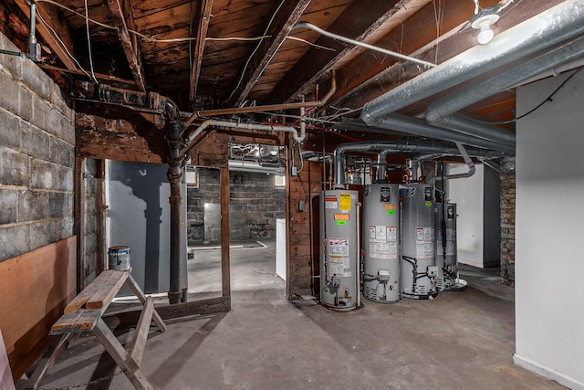 basement with gas water heater