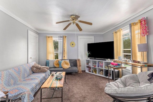 carpeted living room with ceiling fan and crown molding