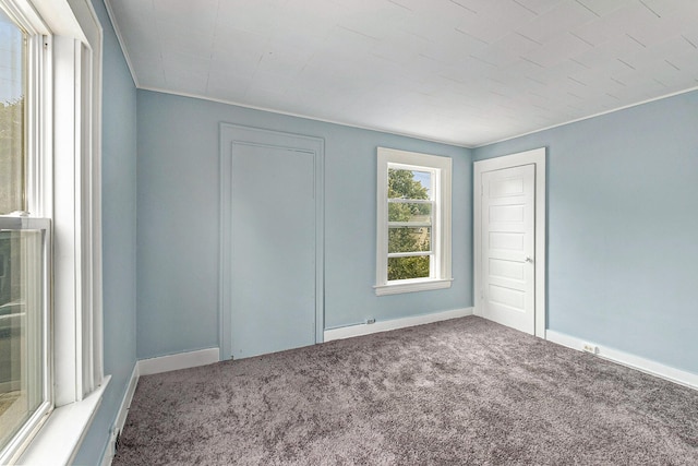 spare room featuring carpet floors and crown molding