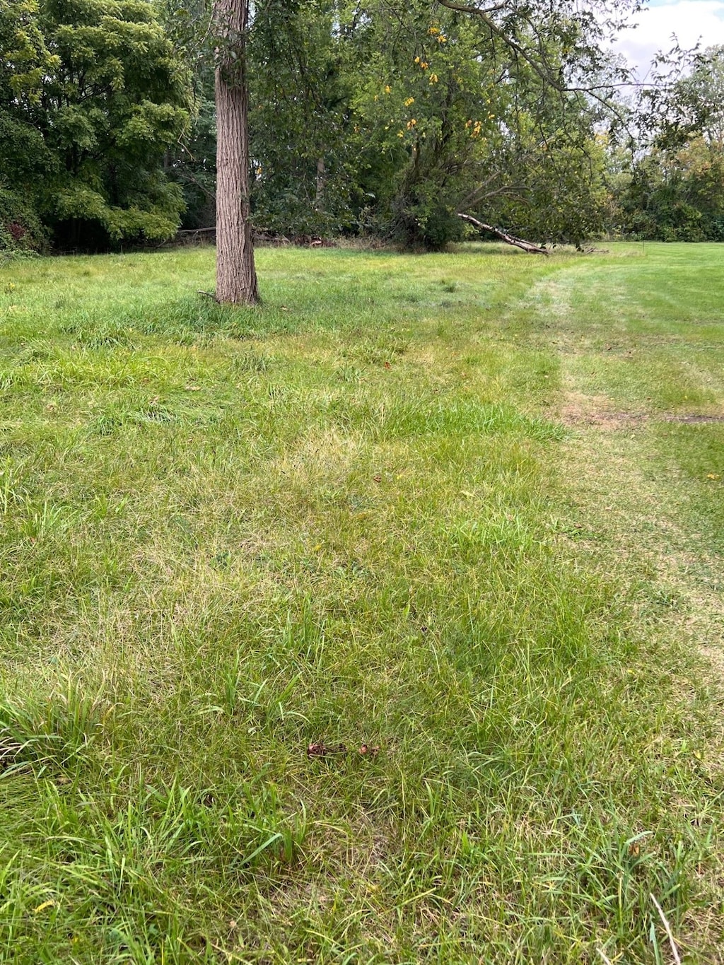 2405 Rawsonville Rd, Van Buren, MI 48111 - photo 2