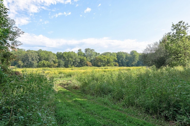 Riverview Dr, Bridgeport, MI 48722