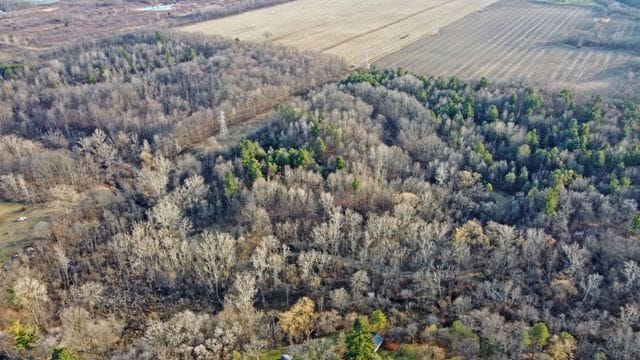 0 W Vienna, Clio, MI 48420