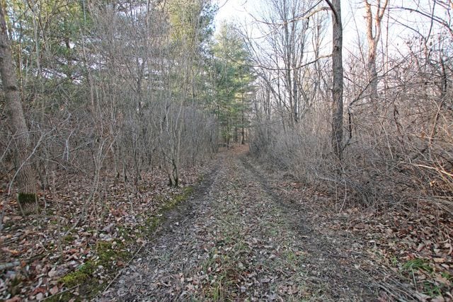 0 W Vienna, Clio, MI 48420