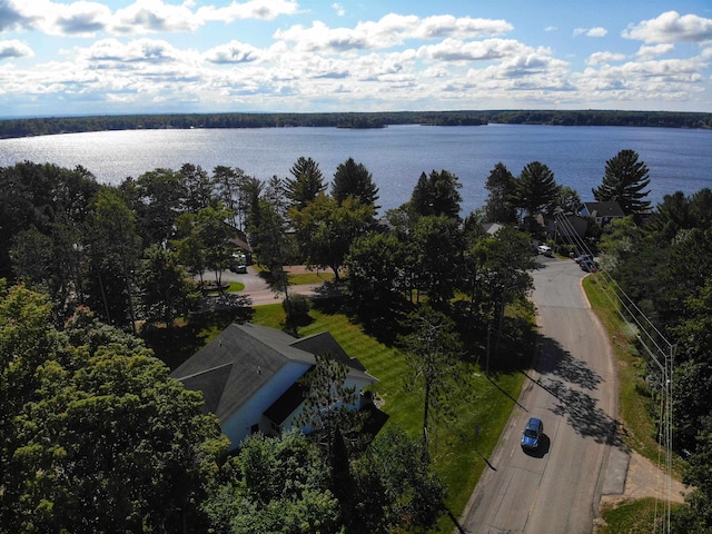 bird's eye view with a water view