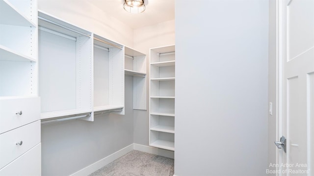 walk in closet featuring light carpet