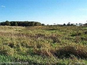 9333par2 Mohrle, Fowlerville MI, 48836 land for sale