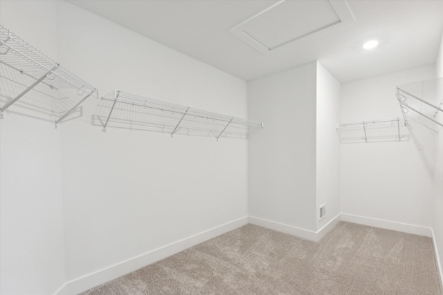 spacious closet with light carpet