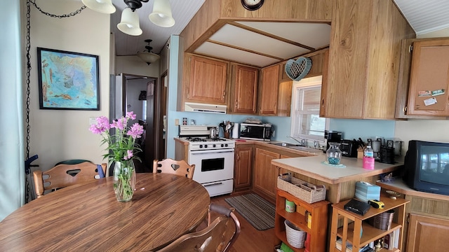 kitchen with lofted ceiling, sink, hardwood / wood-style flooring, gas range gas stove, and extractor fan