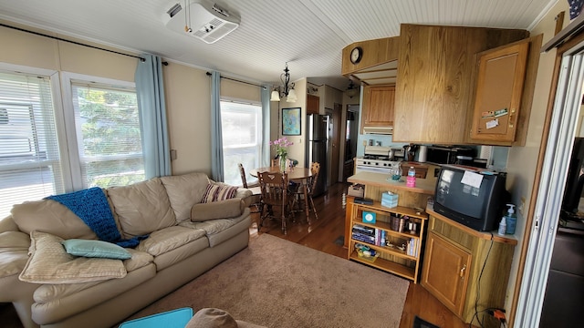 living room featuring wood walls and dark wood-type flooring