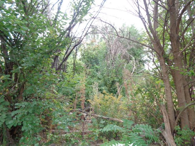 2628 Hunt St, Detroit, MI 48207