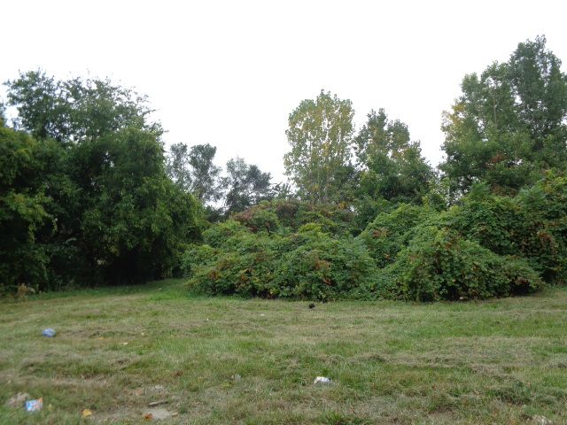 2628 Hunt St, Detroit, MI 48207