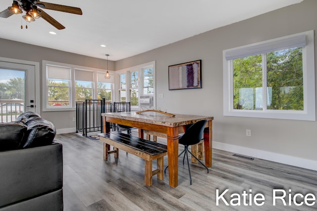 dining room with ceiling fan, a healthy amount of sunlight, and light wood-type flooring