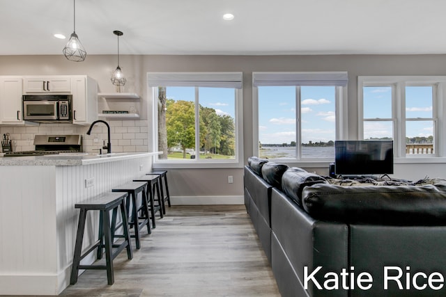 living room with light hardwood / wood-style floors and sink