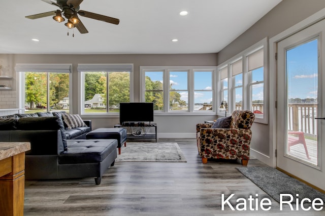 living room with hardwood / wood-style floors and ceiling fan