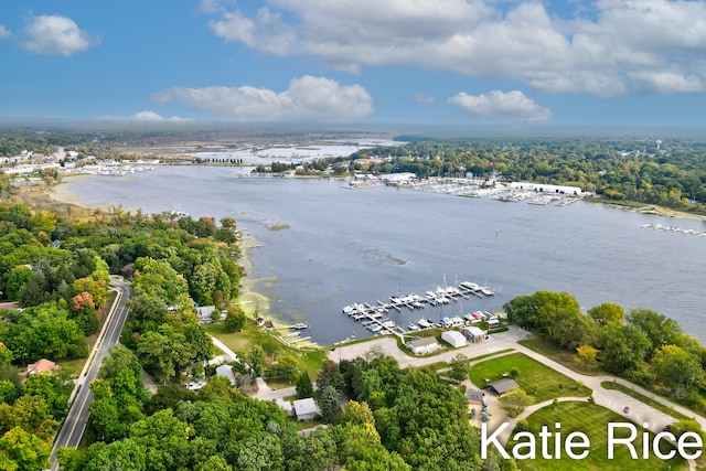 birds eye view of property featuring a water view