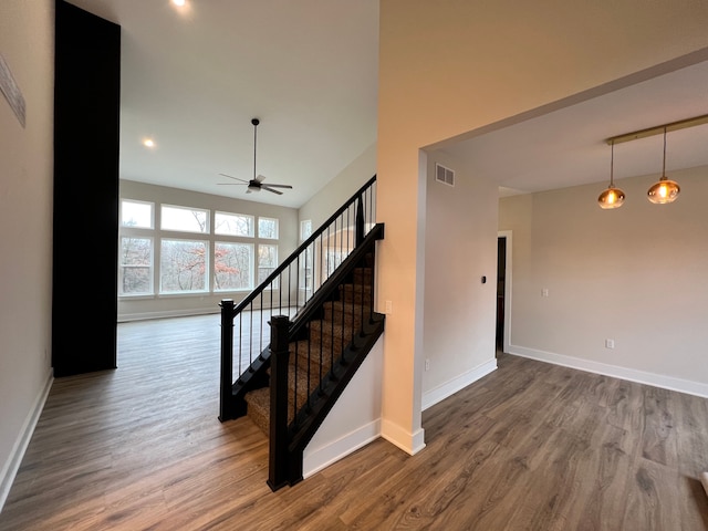 staircase featuring hardwood / wood-style flooring and ceiling fan