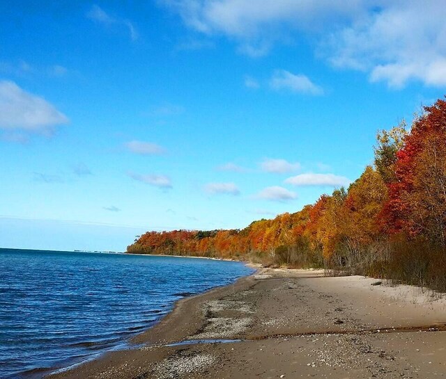 W4231 Wildwood Ln, Moran, MI 49760 - water view with a heavily wooded area