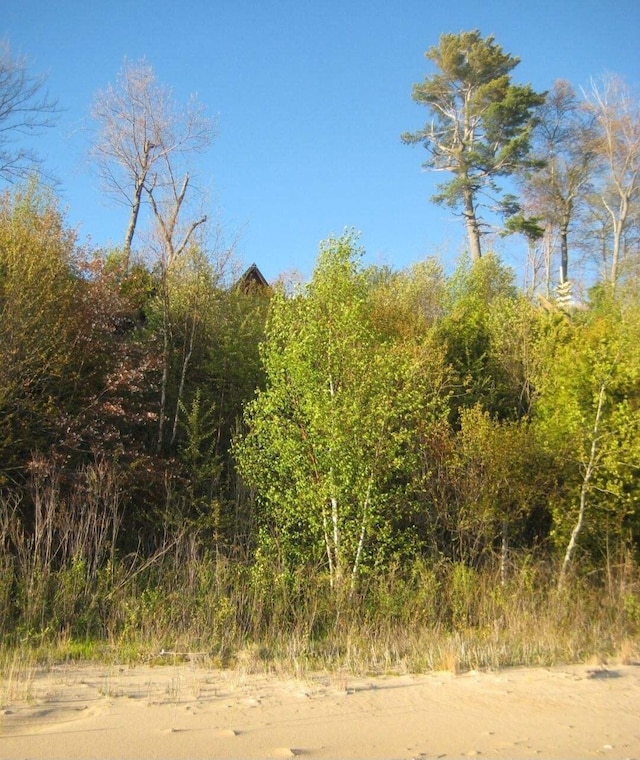 W4231 Wildwood Ln, Moran, MI 49760 - view of nature