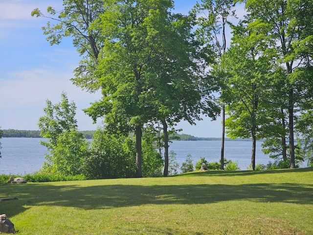 view of water feature