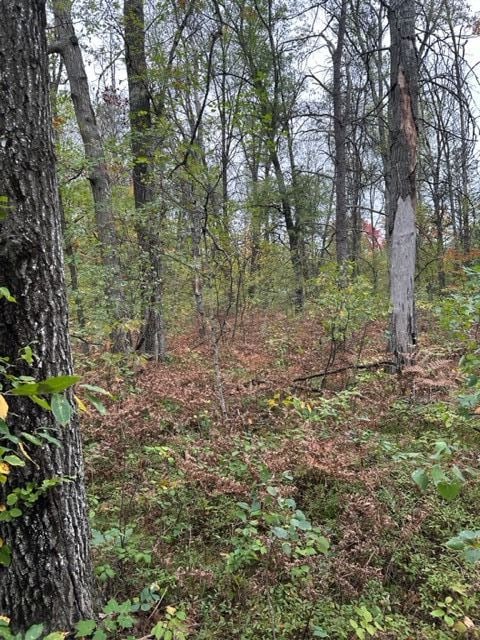 Listing photo 2 for 10ACRES W 6 Mile Rd, Grayling MI 48738