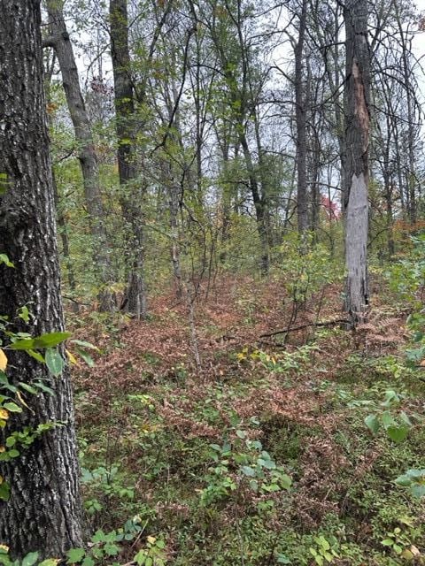 10ACRES W 6 Mile Rd, Grayling, MI 48738 - photo 2
