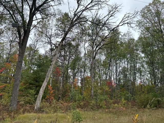 Listing photo 3 for 10ACRES W 6 Mile Rd, Grayling MI 48738